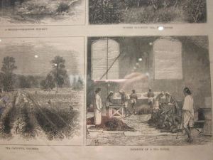 563156_611255455584631_712241137_n