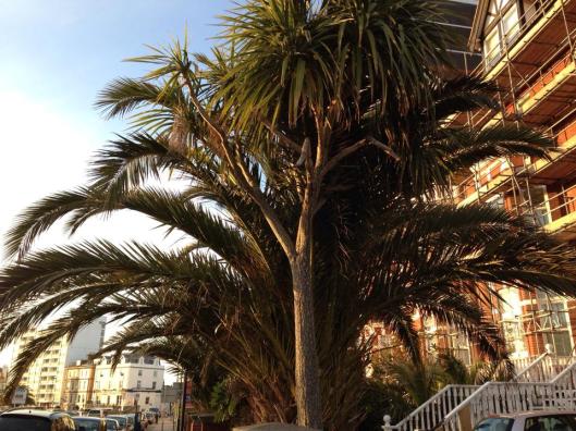 10313590_720367198006789_7955676895153289572_n